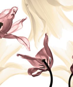 tapeta z różowymi tulipanami