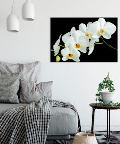 czarny obraz z białym kwiatem