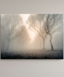 Mgła Poranka – obraz na płótnie 90x65 cm